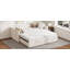 Structure de lit de jour simple rembourré extensible avec lit gigogne, canapé-lit en tissu chenille avec tiroirs de rangement pour le salon-569223570