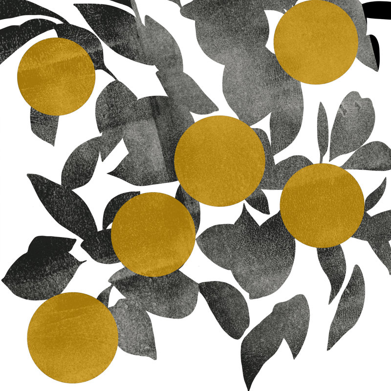 Shadow Branch IV by Emma Scarvey - Wrapped Canvas Print, 51cm H x 51cm W x 3.8cm D