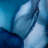 Tony Fey's Beyond The Blue Veil