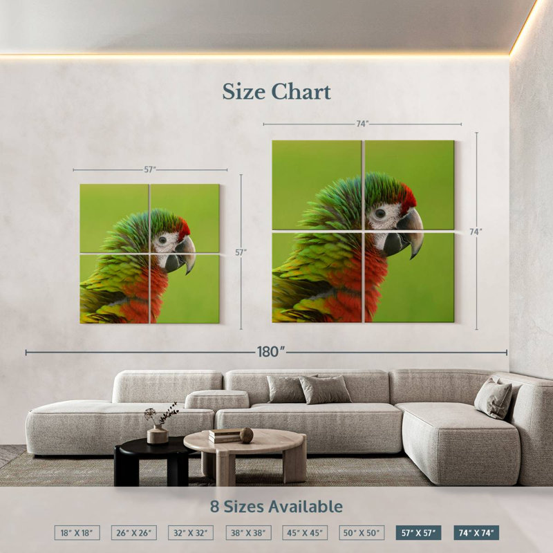 Tête d'oiseau ara Brampt, H 74 po x l 74 po