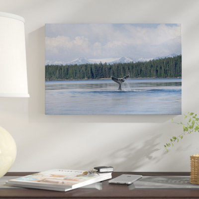 " Humpback Whale Tail, Southeast Alaska "