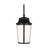 Portola Large Lantern from Generation Lighting -1269922371-1269922368