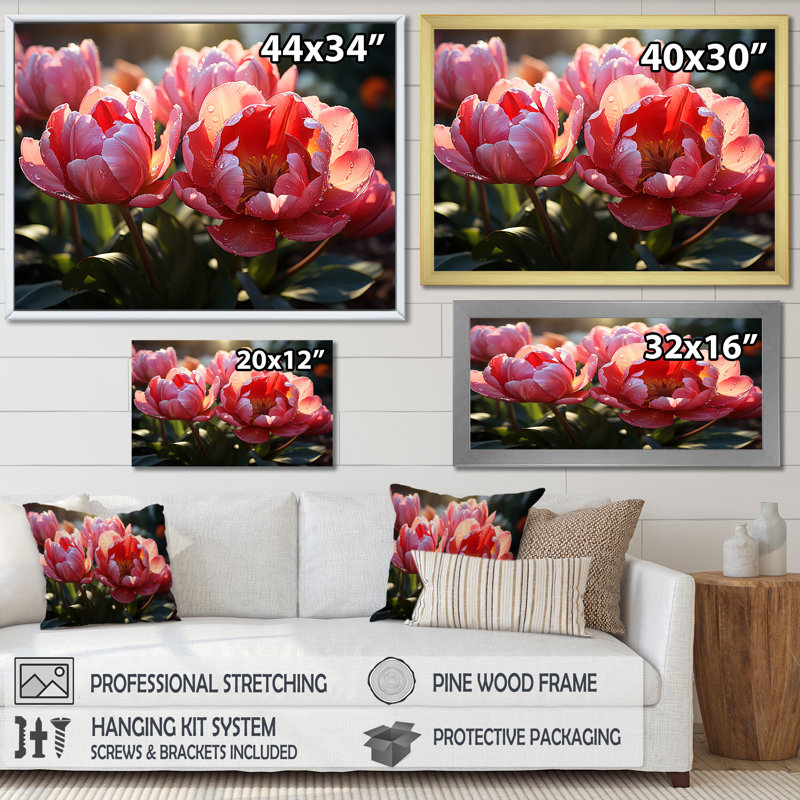 «Crimson Red Tulips Sway In A Sunlit Garden I», reproduction sur toile, Cadre flottant noir, H 30 po x l 40 po x P 1,5 po