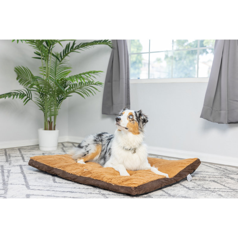 Coussin pour chien moka, Grand (l 39 po x P 28 po x H 4,5 po)