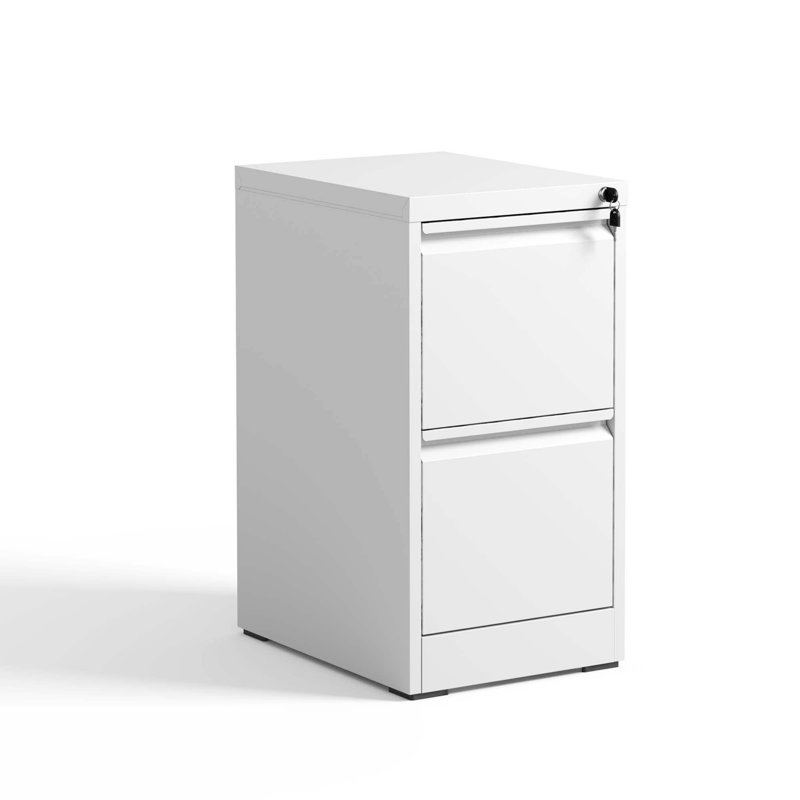 2-Drawer Lockable Metal Vertical File Cabinet for A4/Legal/Letter Size, Office & Home Use, White