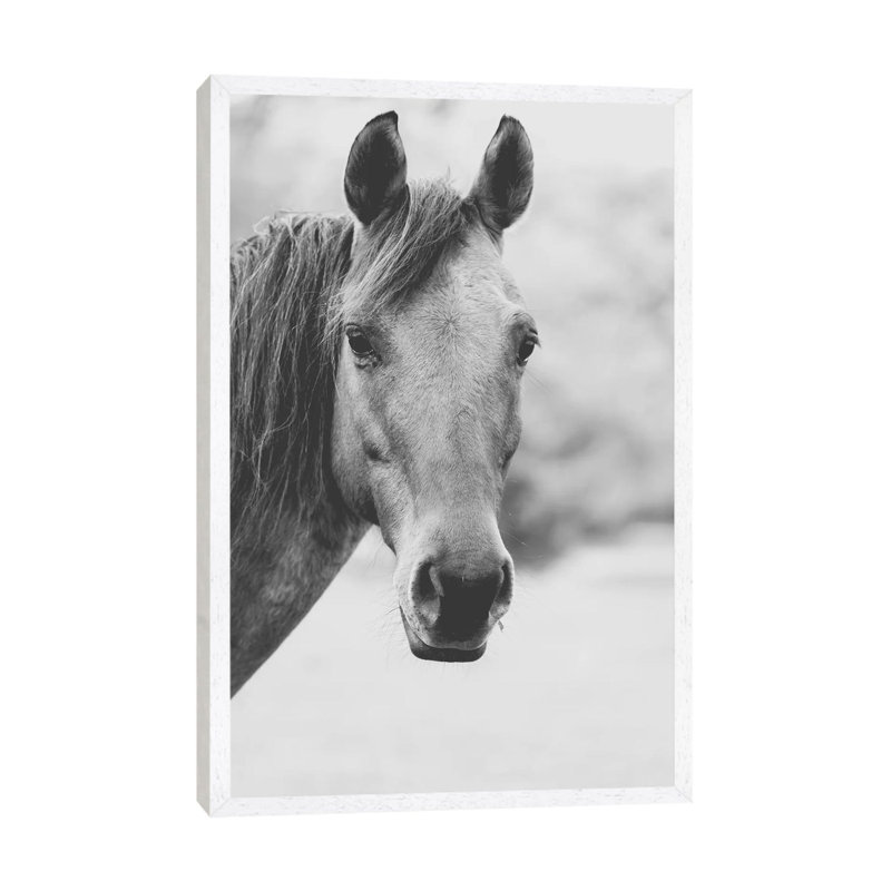 Wild Heart 1 Piece Wall Art on Canvas, 66.04cm H x 45.72cm W x 3.81cm D, White Framed