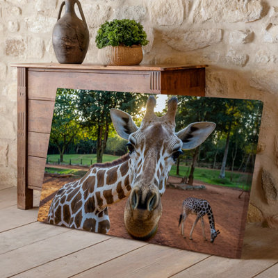 Canvas A Close Up Of A Curious Giraffe With A Playful Wall Art Expression Its Long Neck Elegantly Arched As It Gazes Directly Bringing Canvas Wall Art