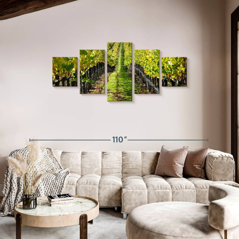 Napa Valley Vineyard, H 36 po x l 80 po