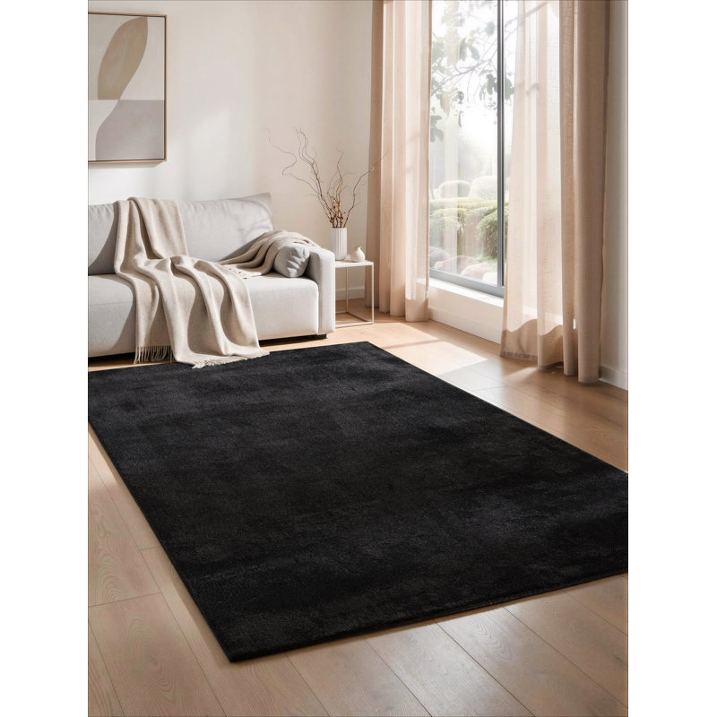 Taeler Washable Modern Living Room Rug Polyester - Anti-Slip Felt Backing Carpet Bedroom-Hallway, Black
