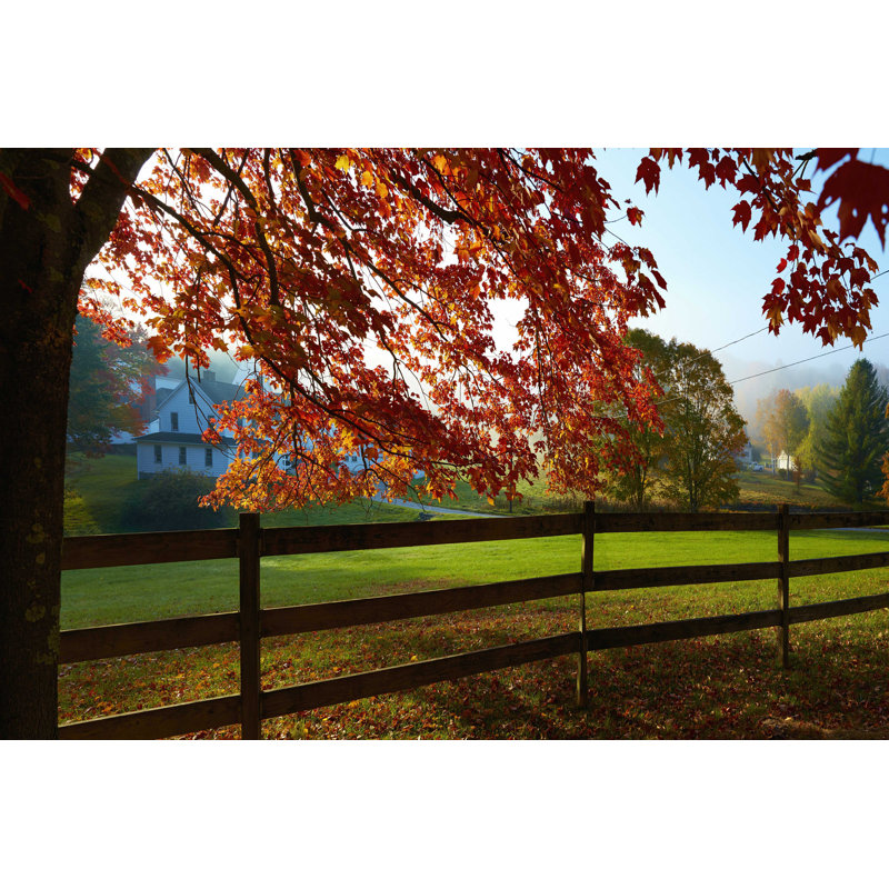 Farm & Country IX, H 32 po x l 48 po
