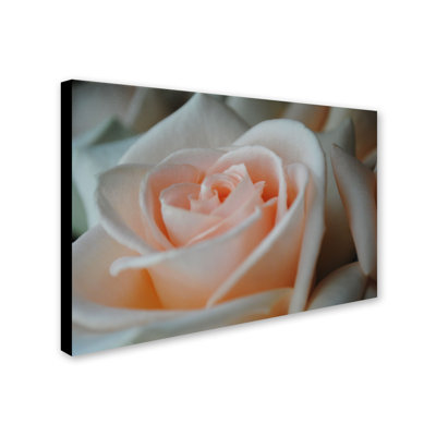 " Perfezione " by Monica Fleet
