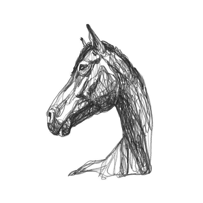 Equine Shape IV by Emma Scarvey - Drawing, 122 cm H x 81 cm W, Black Floater Framed
