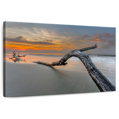 Gillard Beach Bough Driftwood