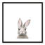 Art encadré en lapins forestières-48188937-48188939