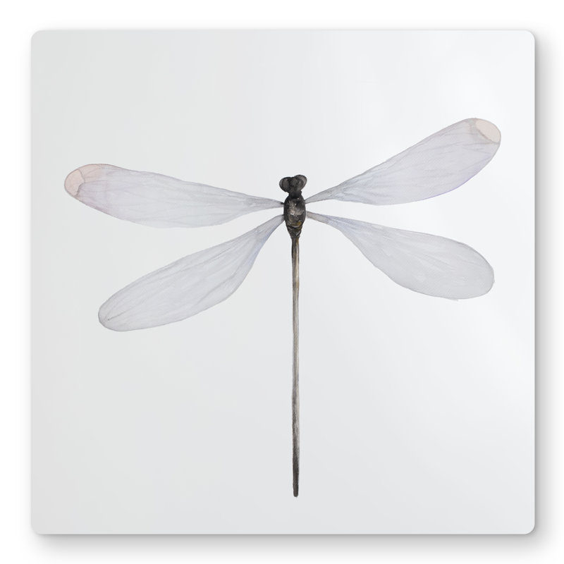 Minimalist Dragonfly - Gray Metal Print for Home Decor