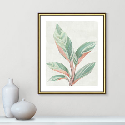 Gingembre II - reproduction d'art