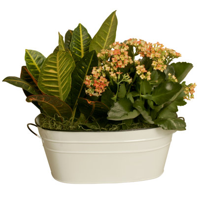 Pot à fleur Veltri