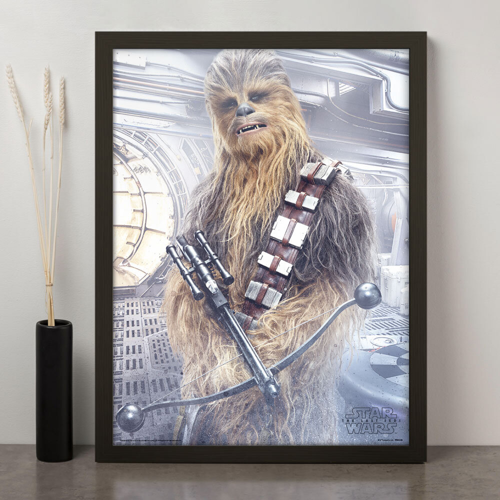 Chewbacca memorabilia store