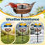 Bol pour bain d'oiseaux en polyrésine avec fontaine solaire Rieleigh-1064368273