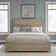 Chantee Panel Bed, Dresser & Mirror Set