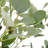 66'' Faux Eucalyptus Plant in Planter-85806657