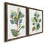 «Seeded Eucalyptus I», ensemble de 2 reproductions d'art sur toile-1047157798-1047157819