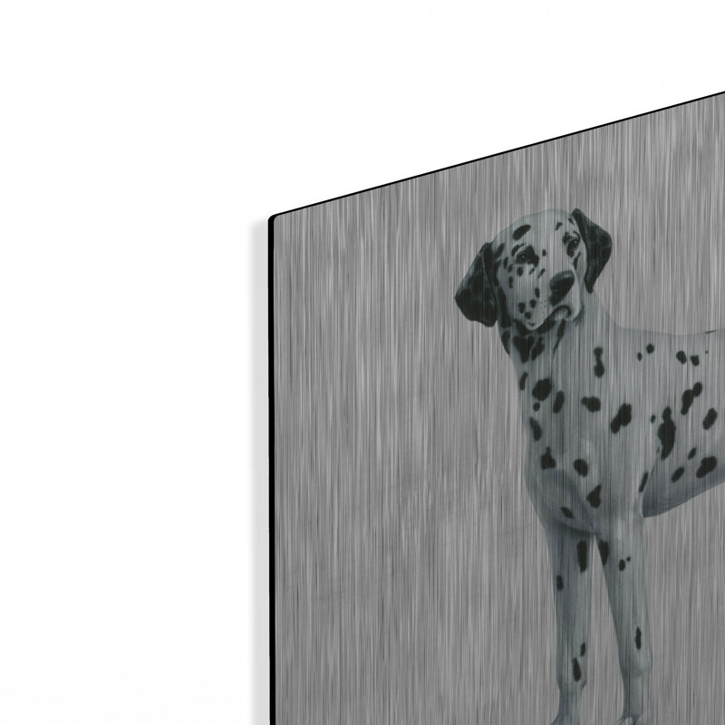 «Dalmatian» par Harro Maass, H 12 po x l 16 po