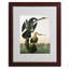 « dart-billed dart » par john james audubon, reproduction d’art encadrée-11826720-19296540