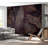 Askar Peel & Stick Vinyl Wall Mural-393582530