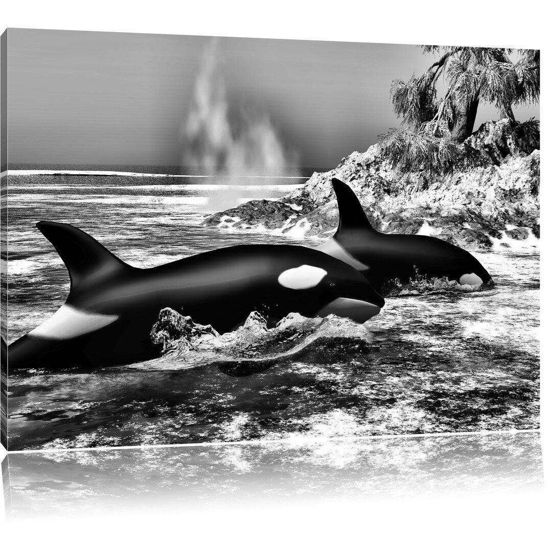 Leinwandbild Orcas vor Insel in Monochrom