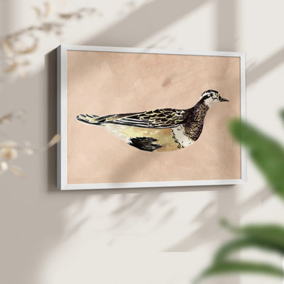 «Feathered Friend IV», reproduction encadrée
