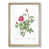 Oak Framed selected