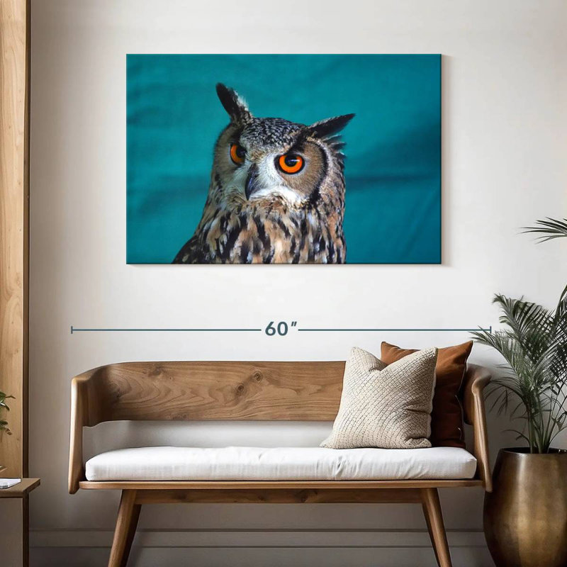 Brampt Charming Tiger Owl, 30" H x 45" W