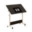 Adjustable Metal Base Standing Desk-1704028748