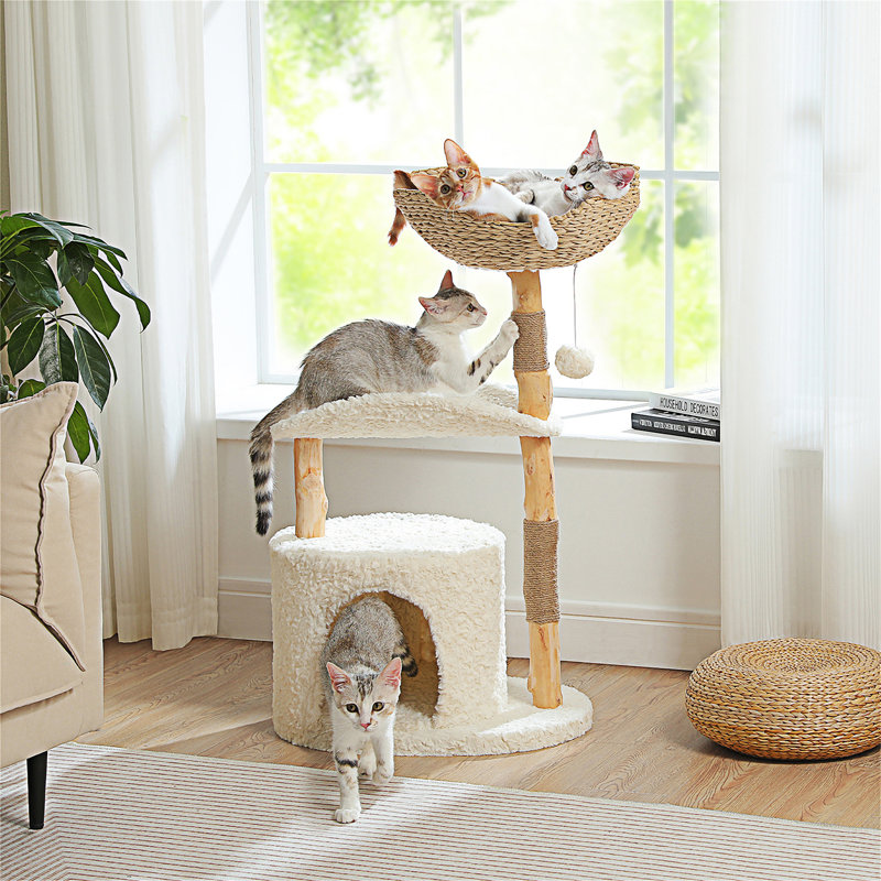 Cat Tree