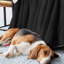 Veyo Throw Blanket-838665378-838665391