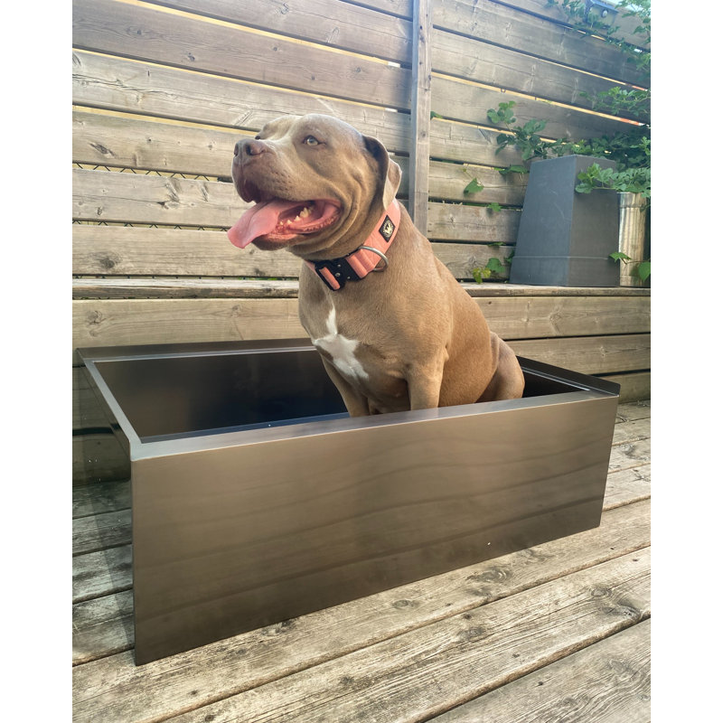 Baignoire pour salle de lavage pour animaux en acier inoxydable 304 de calibre 16 robuste 48 po 