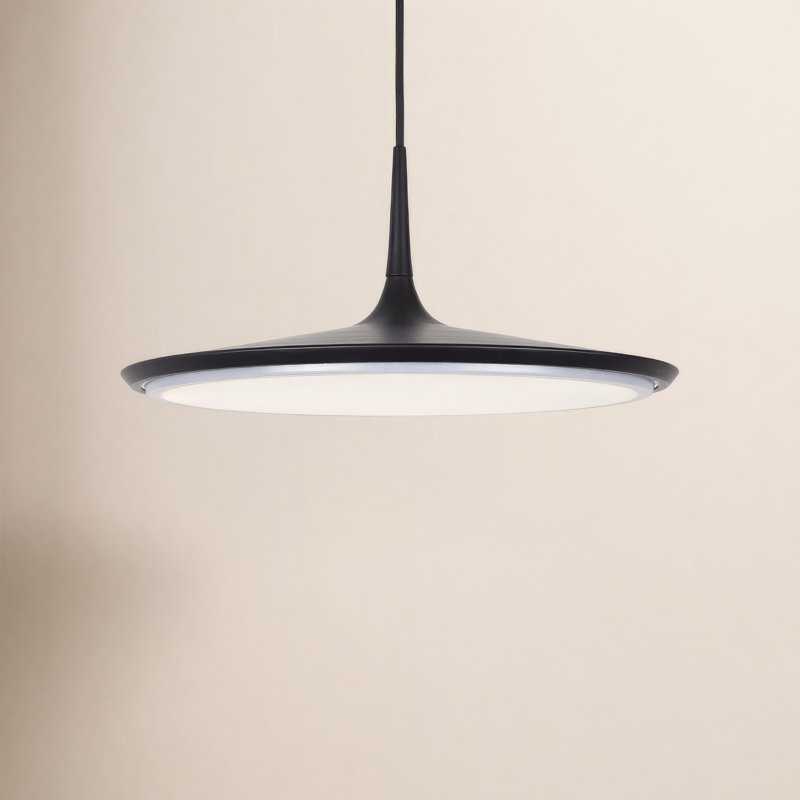 Lorene Disc, Noir