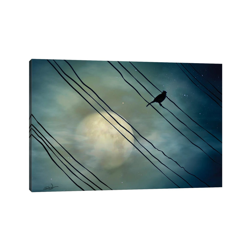 Pássaro Ao Luar (Bird Moonlight) by Marcel Caram - Print on Canvas, 101.6 cm H x 66.04 cm W x 1.91 cm D, Wrapped Canvas