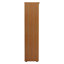 Buariki 200cm H x 80cm W Standard Bookcase-29430099-124073450