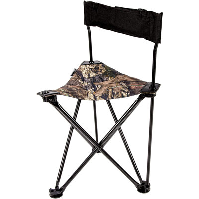 Folding Director Chair
