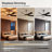 52" Modern Dimmable Ceiling Fan With Light And 6-Speed Remote Control, Reversible Dc Motor