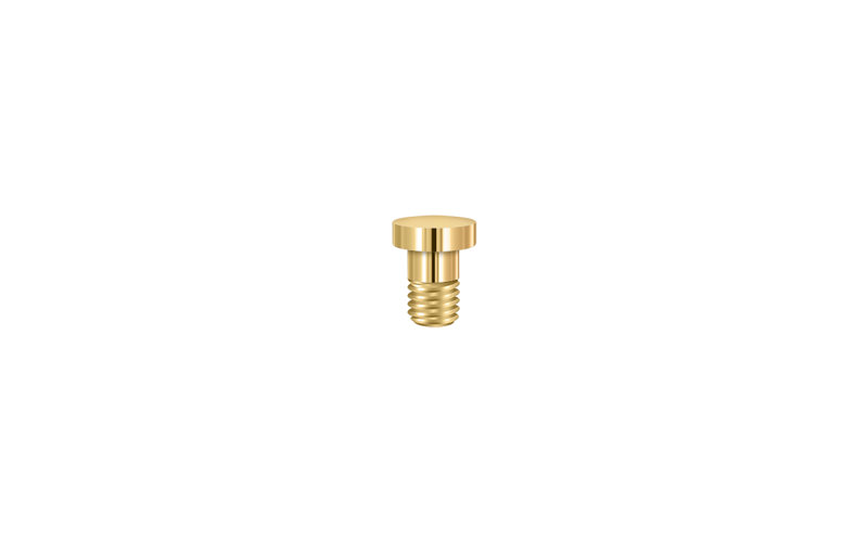 Extended Button Center Hinge Tip, Lifetime Brass