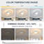 2-Light 40cm Oval LED Ceiling Light-1230768311