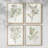 Single Sprig I Framed Print - Set of 4-774102550-774102553