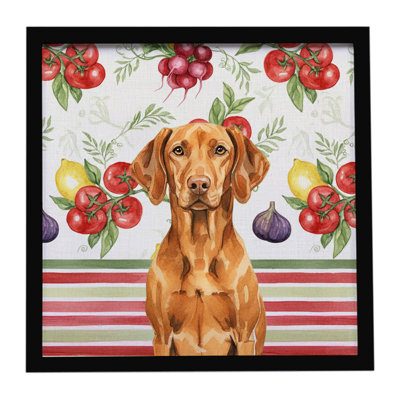 Vizsla Légumes, impression sur métal encadrée