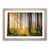 Oak Framed