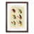 Walnut Framed selected
