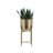 Pot Planter-1214508774