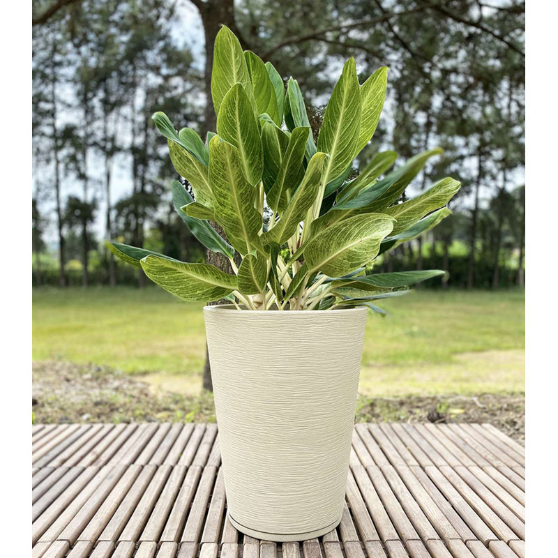 Genebra Pot Planter, Beige, 22.44" H x 17.32" W x 17.32" D
